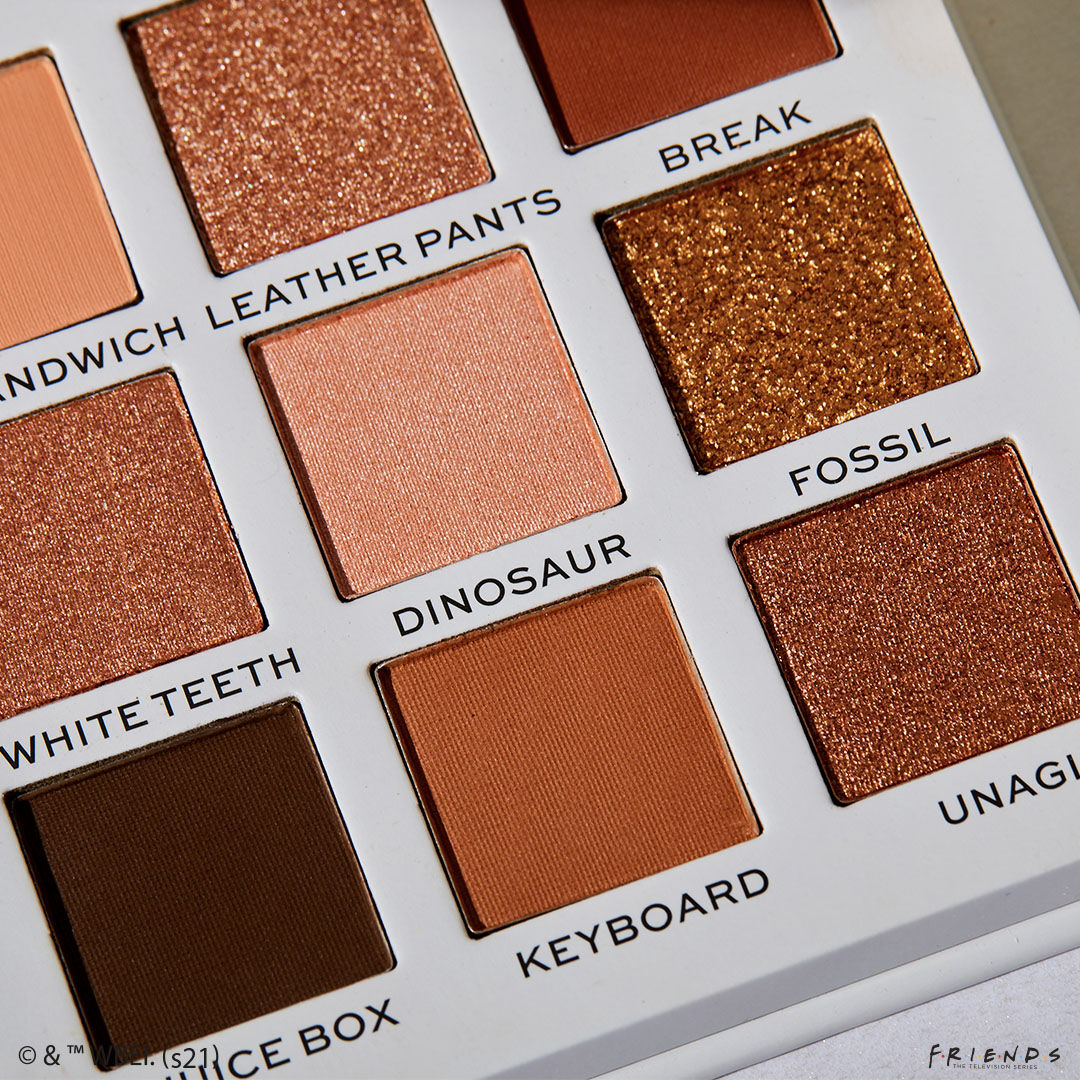 Revolution X Friends Ross Eyeshadow Palette