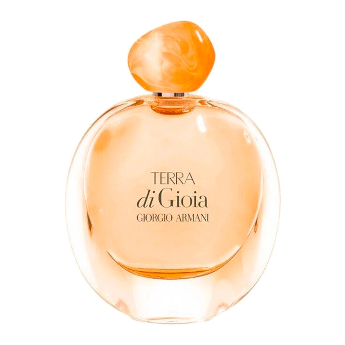 Giorgio Armani Terra di Gioia Eau de Parfum 3.4 oz